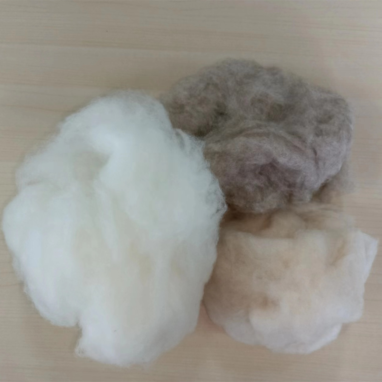 scoured sheep wool borwn